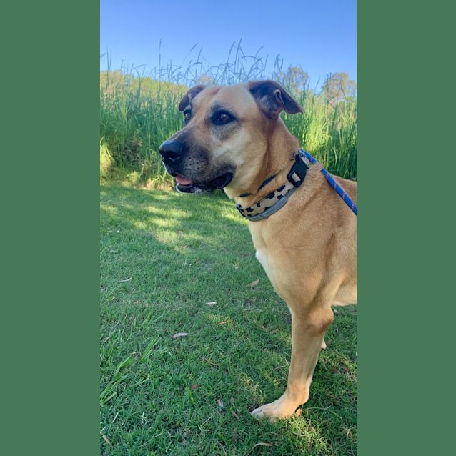 Photo of Zimba