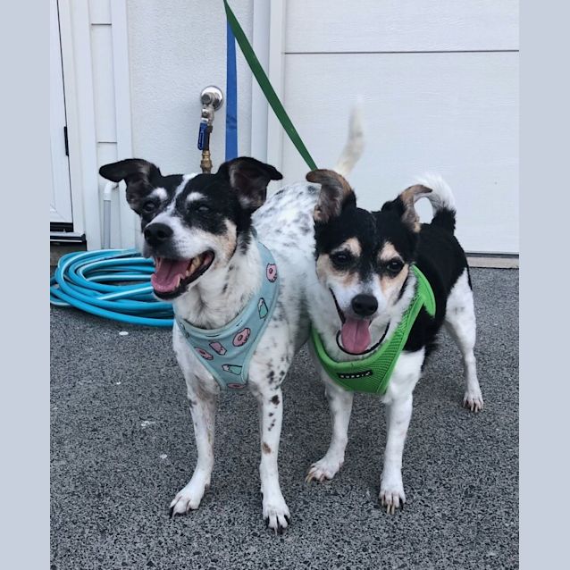 Photo of Shelly And Devon