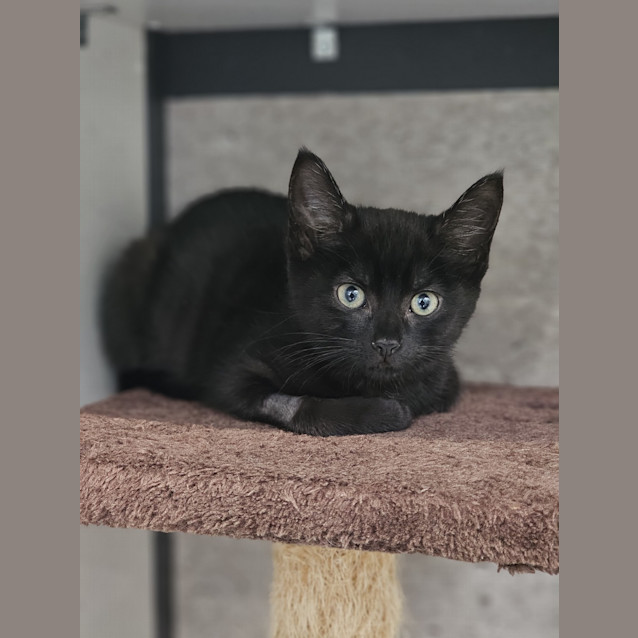 Photo of Bertha