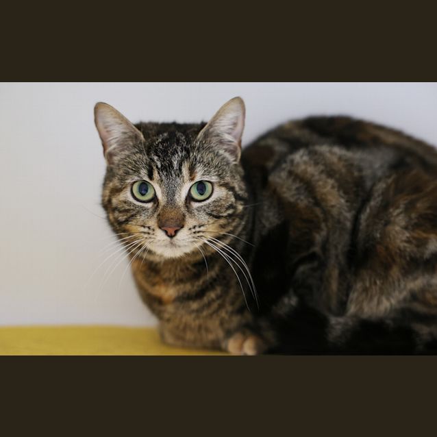 Photo of Freida