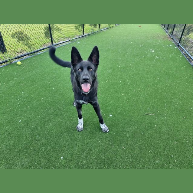 Photo of Jasper Imp 1912