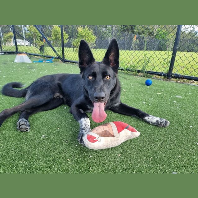 Photo of Jasper Imp 1912