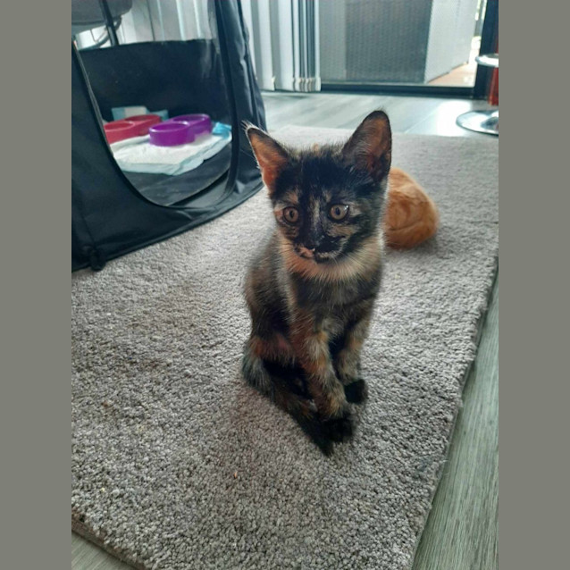Photo of Mary Jane 