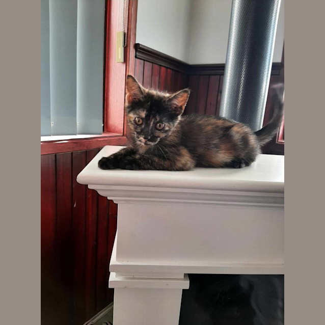 Photo of Mary Jane 