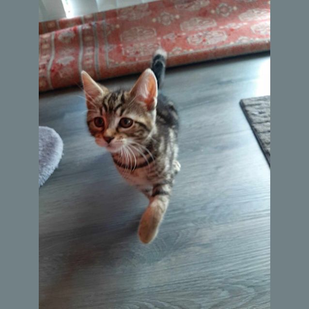 Photo of Mae 