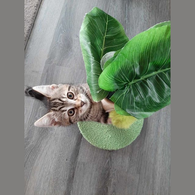 Photo of Mae 
