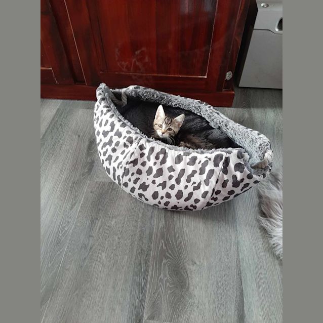 Photo of Mae 