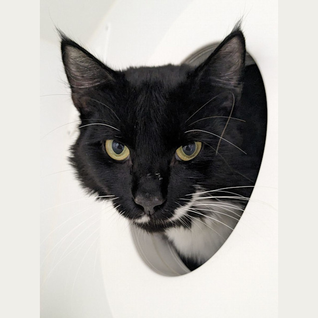 Photo of 💣 Bond F02673 💣