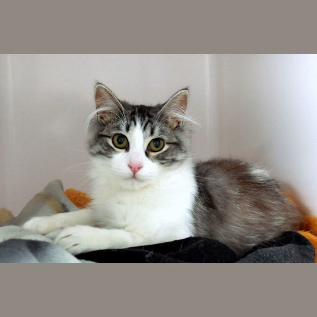 Photo of Delilah Suk011795