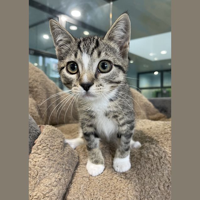 Photo of Jingle