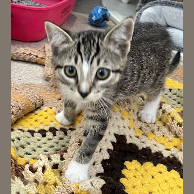 Photo of Jingle