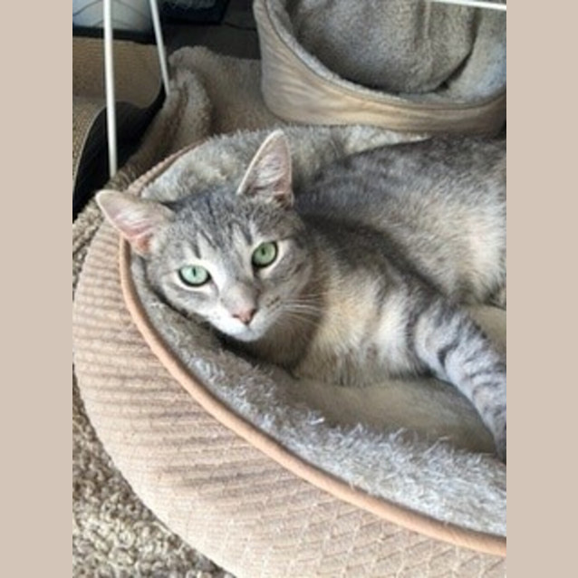 Photo of Monty