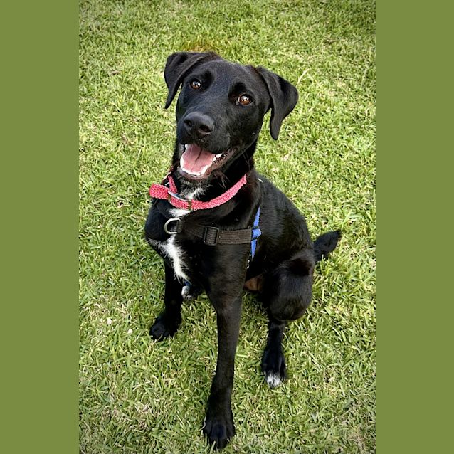 Photo of Xena