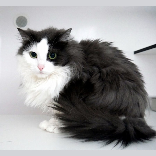 Photo of Bonnie & Allie