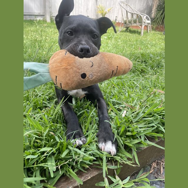 Photo of Azula