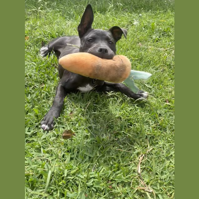 Photo of Azula