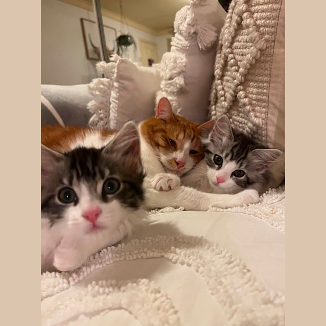 Photo of Dougie & Katsu 