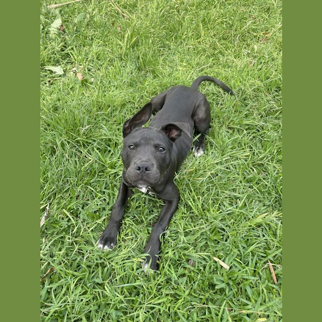 Photo of Azula