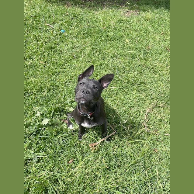 Photo of Azula