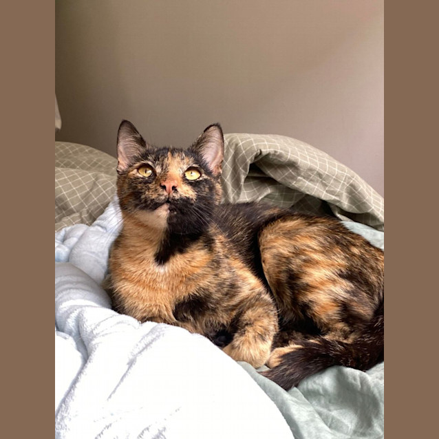 Photo of Angel   Meet Me At Nellys Ark