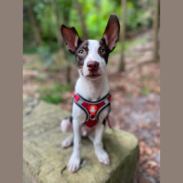 Photo of Bounty