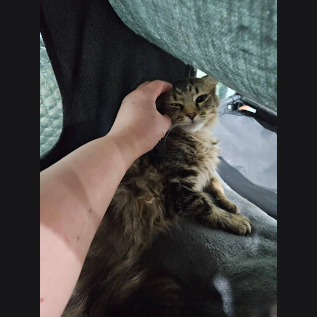 Photo of Ash
