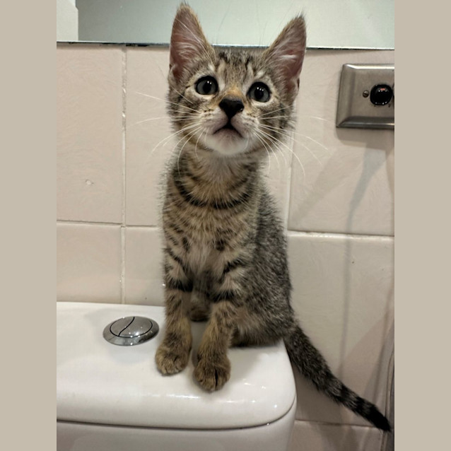 Photo of Tinky Winky