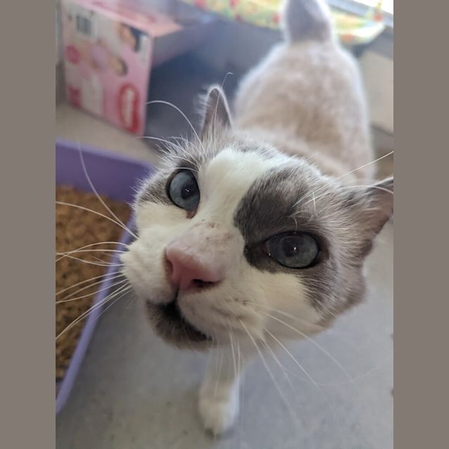 Photo of Monty