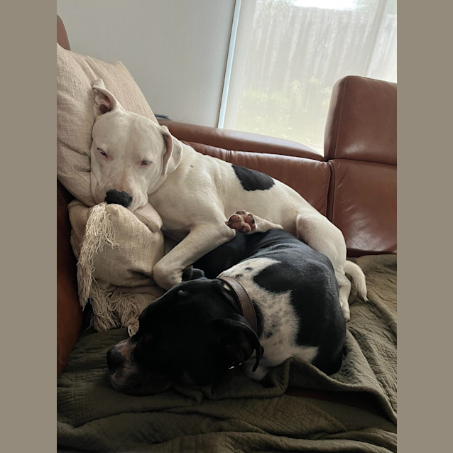 Photo of Lola