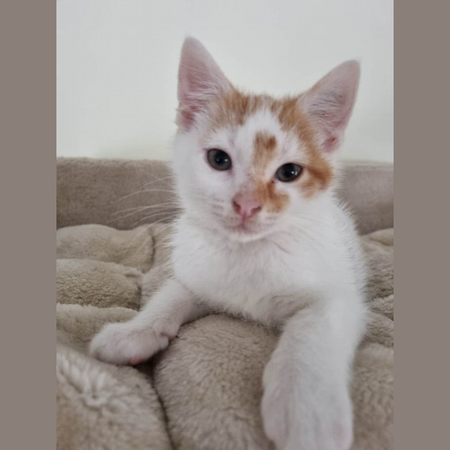 Photo of Tom