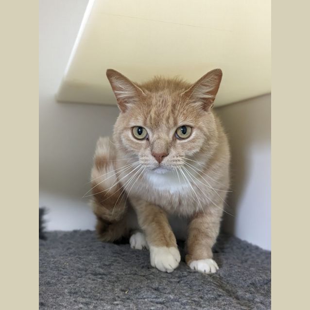 Photo of 📙 Einstein F02702 📙