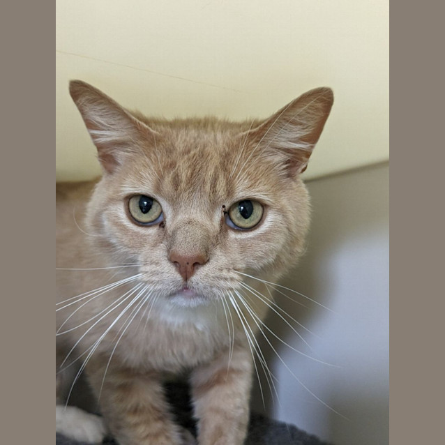 Photo of 📙 Einstein F02702 📙