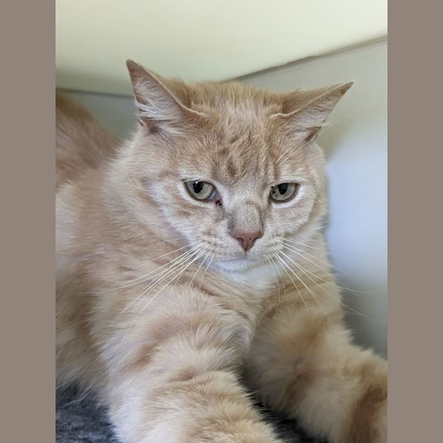 Photo of 📙 Einstein F02702 📙