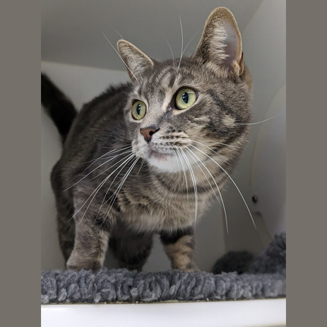 Photo of 🌺 Odette F02732 🌺