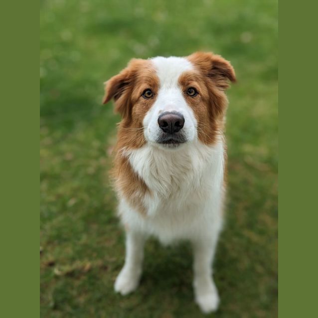 Photo of 💙 Luka C04697 💙