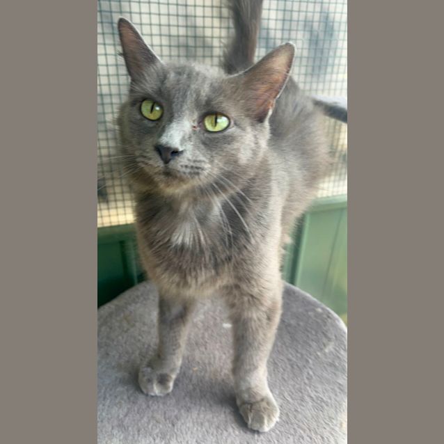 Photo of Athena