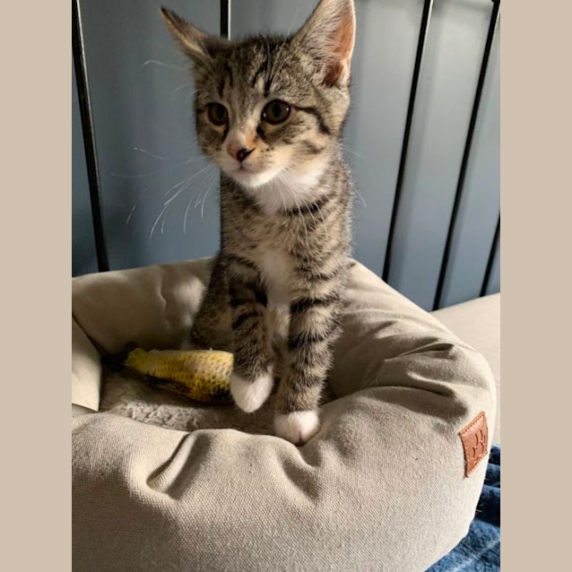 Photo of Boots