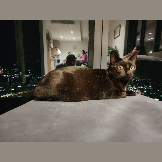 Photo of Midnight