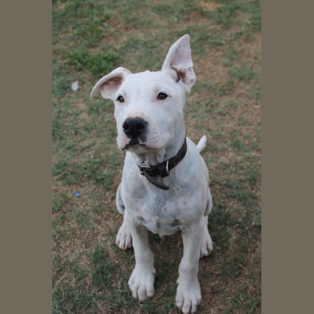 Photo of Tuck
