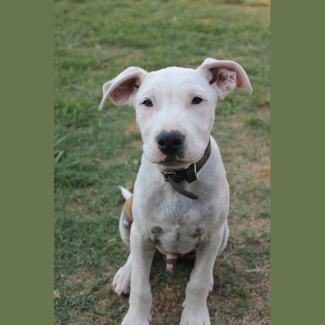 Photo of Tuck