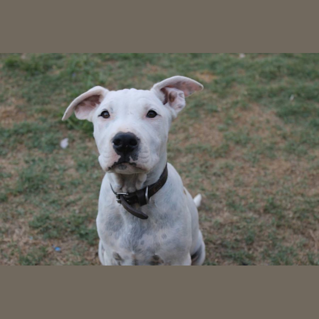 Photo of Tuck