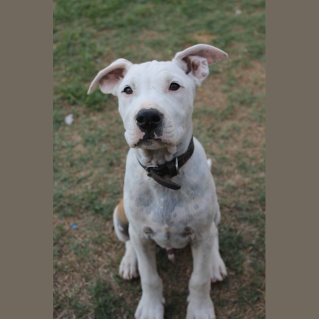 Photo of Tuck