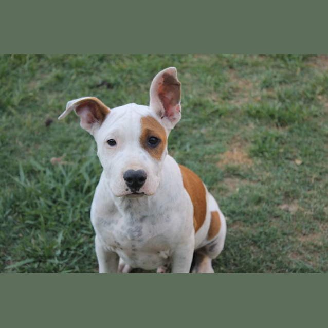 Photo of Rolly