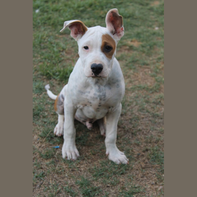 Photo of Rolly