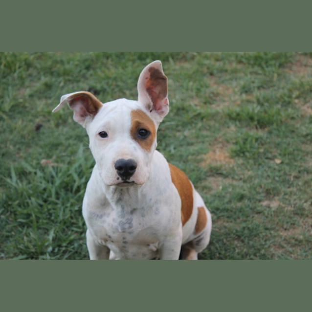 Photo of Rolly