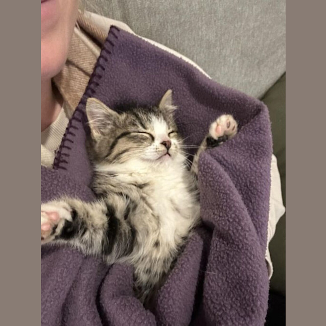 Photo of Willow