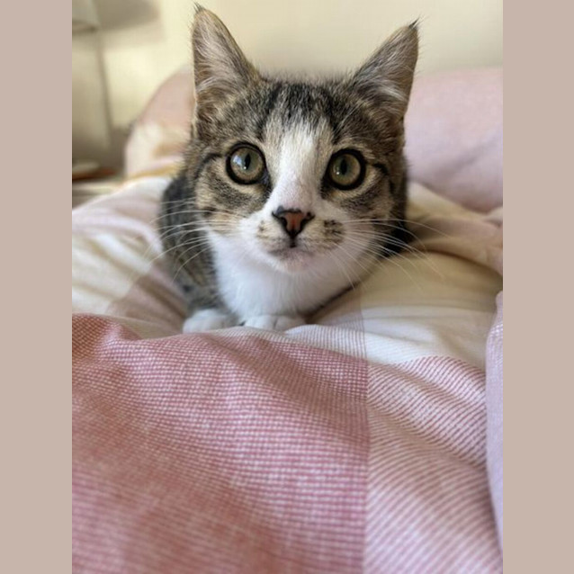 Photo of Willow