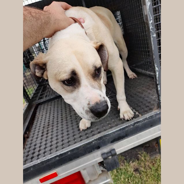 Photo of Pretty Girl