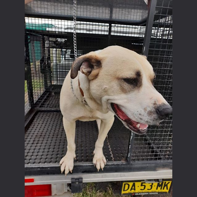 Photo of Pretty Girl