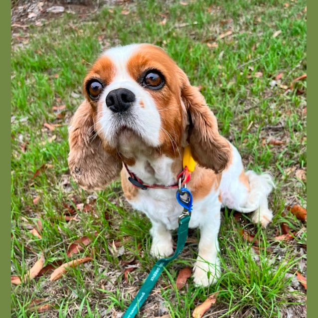 Photo of Dora